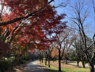 Retina top 20251130b%402x