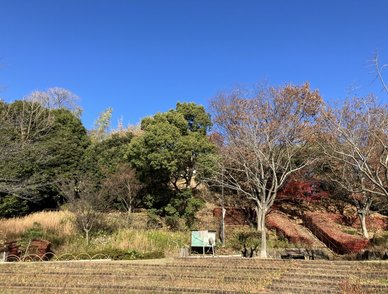 Retina top 20251204a%402x