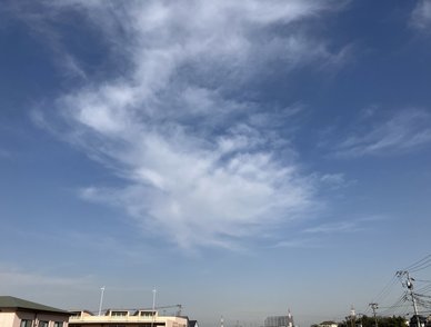 Retina top 20260119a%402x