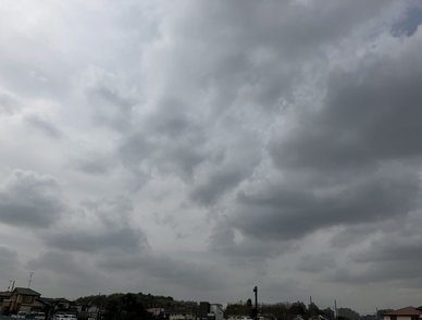 Retina top 20260224a%402x